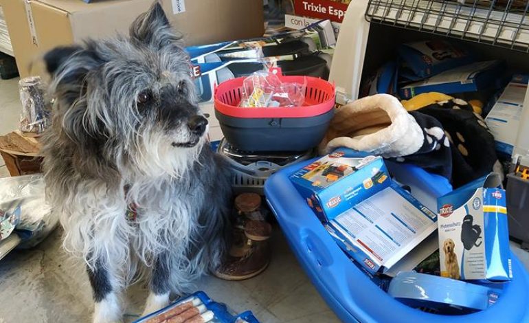 La protectora Animales sin Techo de Biescas recibe más de 300 kilos en productos Trixie