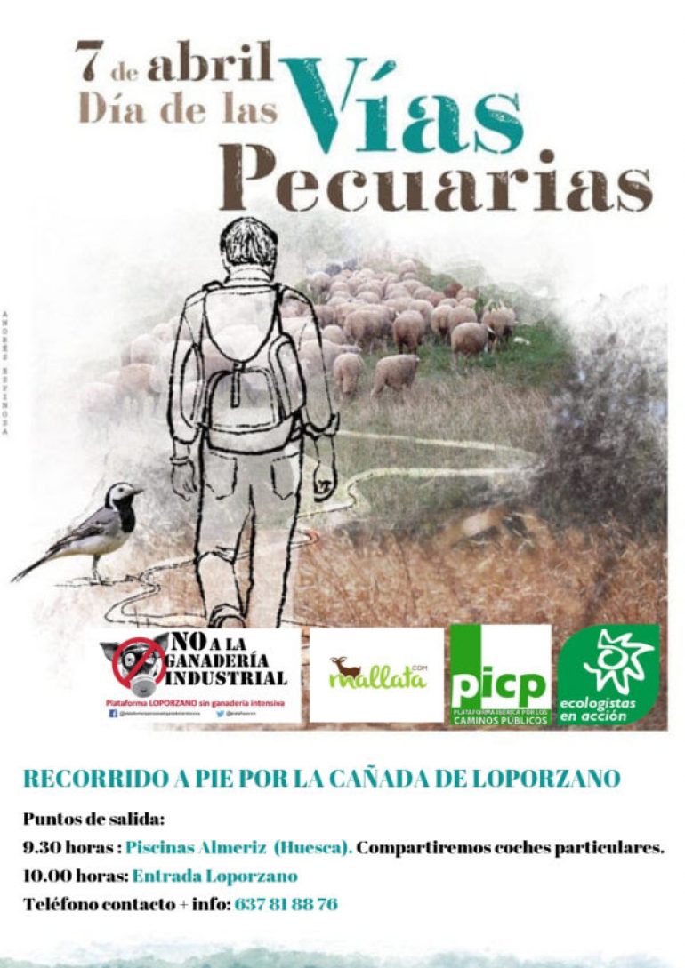 Paseo a pie semicircular por la Cañada Real a Nocito el 7 de abril, Día de las Vías Pecuarias