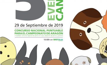 V Evento Canino en Brotalia: Todo listo para la gran fiesta de las mascotas en Huesca