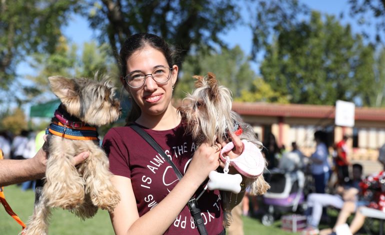 Un centenar de perros y cerca de 500 personas se han dado cita en el V Evento Canino de Brotalia