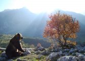 Semana del Pirineismo en Graus