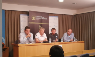 Las organizaciones agrarias aragonesas se unen para luchar contra los precios precarios del aceite de oliva