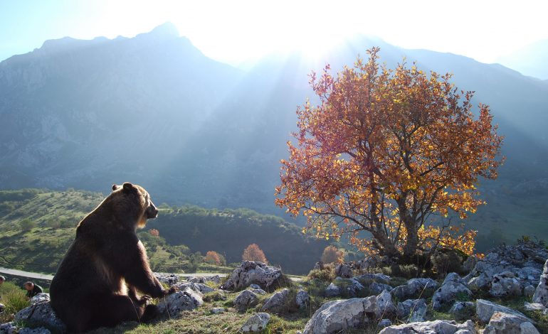 Semana del Pirineismo en Graus