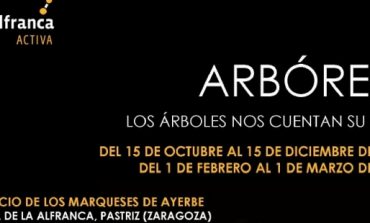 “Los árboles nos cuentan su vida” en “Arbóreo” del Espacio Alfranca