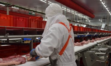 Primer curso de Bienestar Animal en el centro de formación Litera Meat