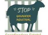 Organizaciones ecologistas y población afectada por la ganadería industrial porcina rechazan la nueva legislación para su regulación