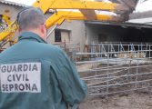 LA GUARDIA CIVIL INVESTIGA A UNA PERSONA COMO SUPUESTO AUTOR DE  UN DELITO DE ABANDONO Y MALTRATO ANIMAL 