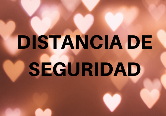 Distancia de Seguridad