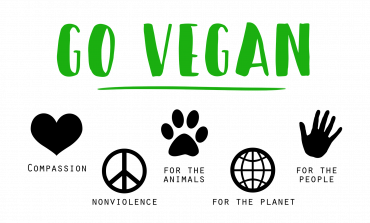 El veganismo llega al marketing: ventajas de una agencia de marketing digital vegana