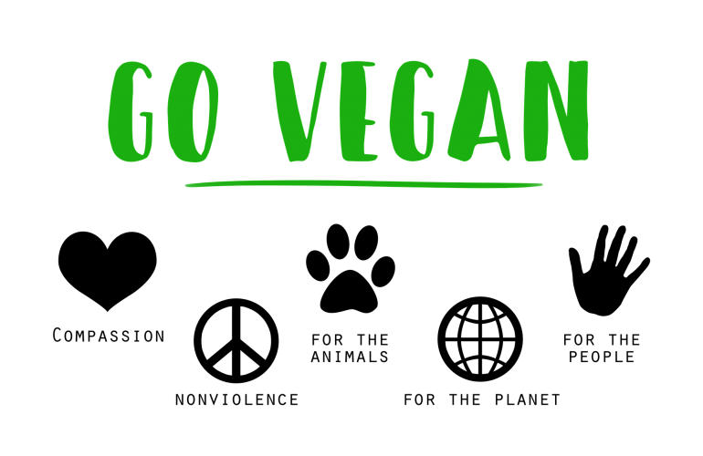 El veganismo llega al marketing: ventajas de una agencia de marketing digital vegana
