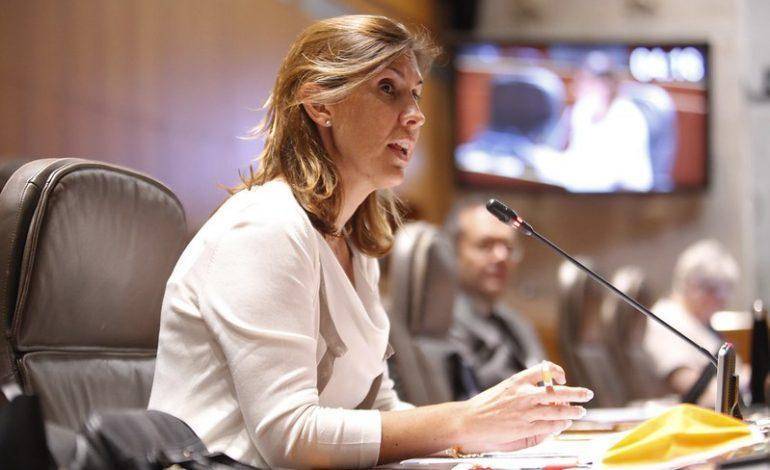 Cs pide comprobar si las ayudas al sector automovilístico están siendo efectivas para la venta de coches en Aragón