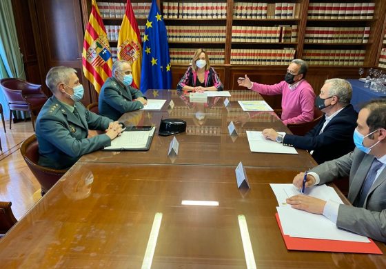 Frente común de Delegación del Gobierno, Diputaciones y Guardia Civil contra la ciberdelincuencia