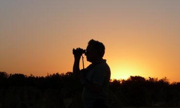 Todo lo que necesita comprender acerca de los dispositivos de visión nocturna   