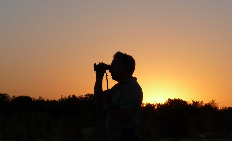Todo lo que necesita comprender acerca de los dispositivos de visión nocturna   