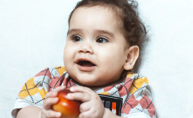 Se implementa un postgrado sobre nutrición para niños 'veggie' en el Campus de Huesca de la U. de Zaragoza