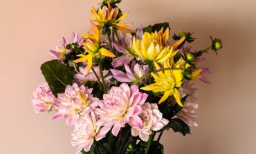 Todo sobre Flor Moments, uno de los ecommerce de flores que más creció en 2020