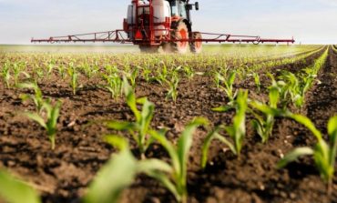 El Defensor del Pueblo da la razón a Ecologistas en Acción respecto a la ilegalidad de las autorizaciones a plaguicidas prohibidos