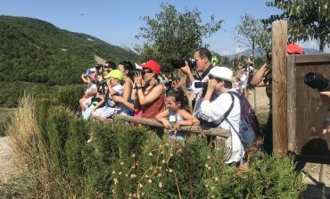 El ayuntamiento de Aínsa-Sobrarbe logra el Primer Premio de Buenas Prácticas Locales por la Biodiversidad