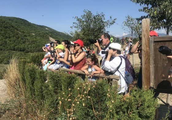 El ayuntamiento de Aínsa-Sobrarbe logra el Primer Premio de Buenas Prácticas Locales por la Biodiversidad