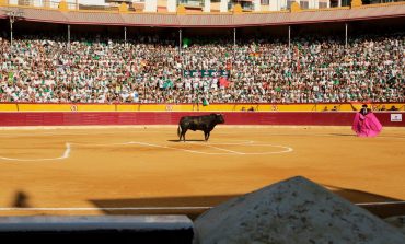 Tauroemoción seguirá al frente de Huesca en 2022