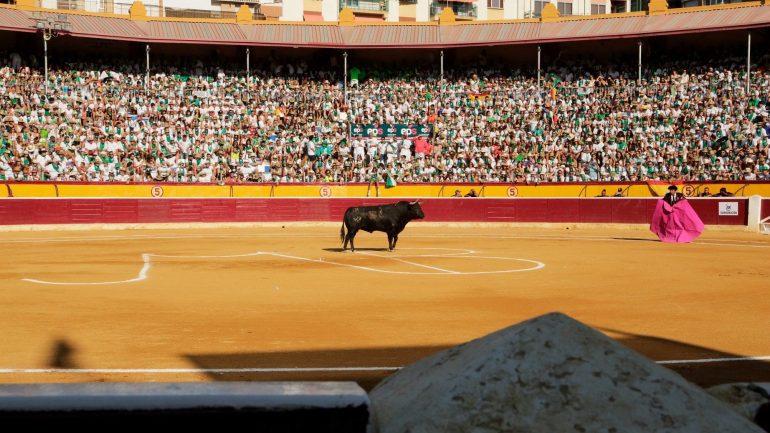 Tauroemoción seguirá al frente de Huesca en 2022