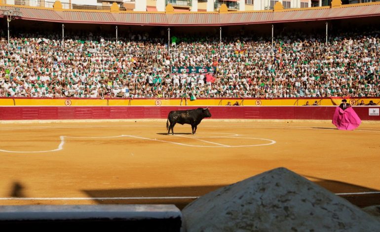 Tauroemoción seguirá al frente de Huesca en 2022