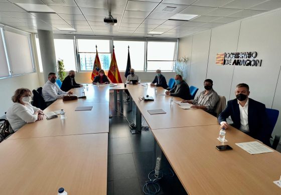 CERMI-Aragón traslada las demandas de las entidades sociales a la consejera de Sanidad, Sira Repollés
