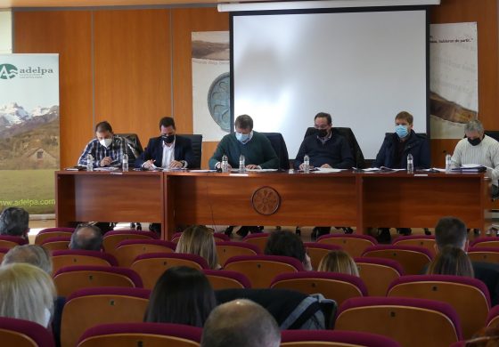 ADELPA pide la paralización de los expedientes de parques fotovoltaicos hasta que exista una normativa