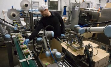 Automatización y robótica industrial ¿Podrían los robots despojarnos de nuestras tareas?