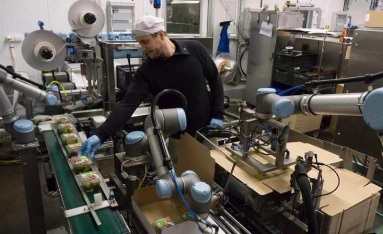 Automatización y robótica industrial ¿Podrían los robots despojarnos de nuestras tareas?