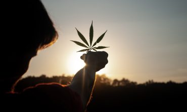 Posición de los productos cannábicos en Europa