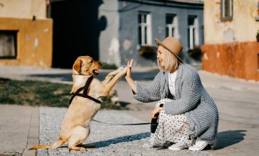 CHA considera un paso atrás la prohibición de la entrada de perros atados a los parques de Huesca