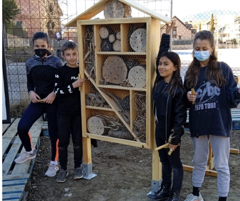 Hotel de insectos y nuevos espacios de sombra en el colegio de Aínsa