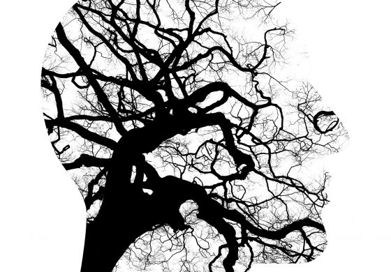 Empieza el proceso de participación para la elaboración del Plan de Salud Mental de Aragón