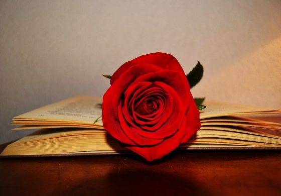 ¿Cómo se celebra Sant Jordi en Cataluña y Aragón?