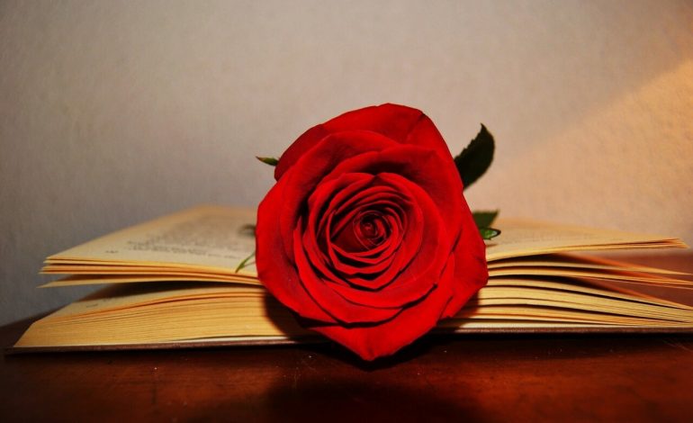 ¿Cómo se celebra Sant Jordi en Cataluña y Aragón?