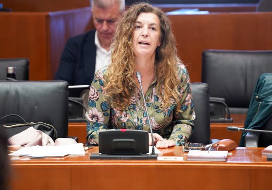 Ciudadanos Aragón saca adelante su iniciativa para impulsar a Aragón como referente en la creación de un ecosistema de ciberseguridad