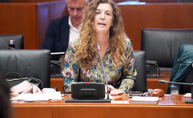 Ciudadanos Aragón saca adelante su iniciativa para impulsar a Aragón como referente en la creación de un ecosistema de ciberseguridad
