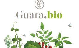 El proyecto agroganadero Guara.Bio organiza sus Primeras Jornadas Agroecológicas en las localidades prepirenaicas de Belsué y Lúsera