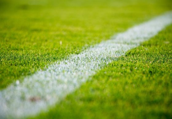 ¿Quién será el Campeón del Mundo en Qatar 2022?