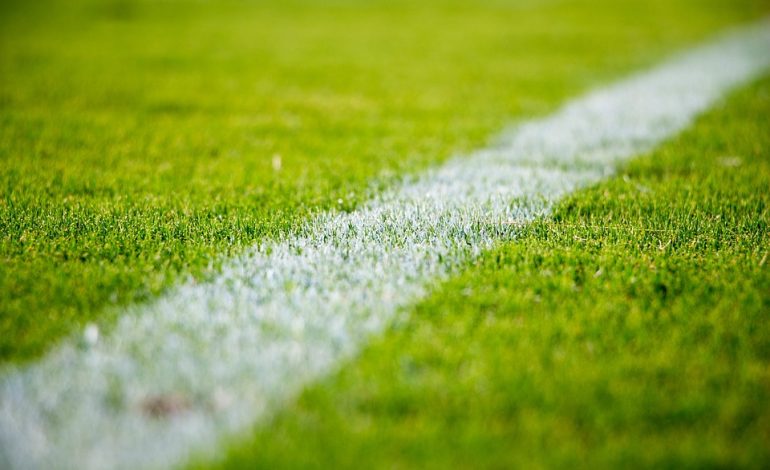 ¿Quién será el Campeón del Mundo en Qatar 2022?