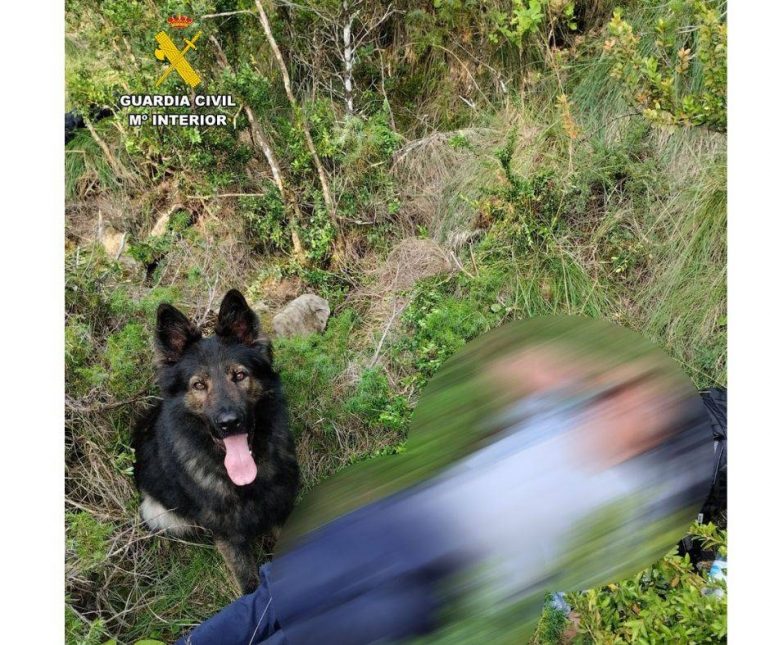 Encontrado desaparecido gracias al perro del GREIM de la Guardia Civil de Panticosa
