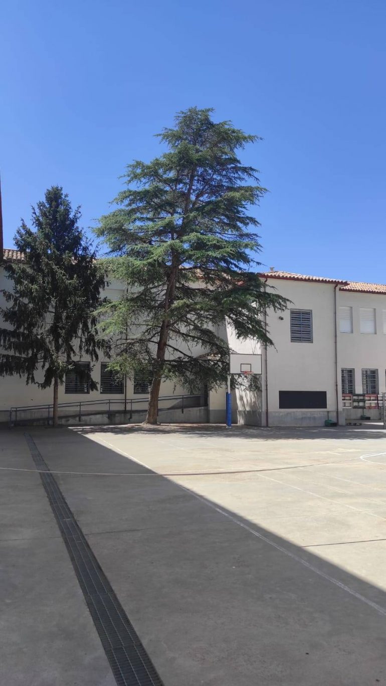 La Amypa del IES Ramón y Cajal de Huesca exige a Educación la reparación de los daños de la tormenta en el centro 
