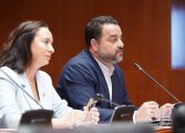 Revertir la caída de la natalidad en Aragón, apuesta de VOX