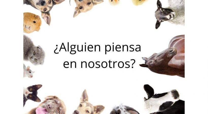 PACMA: Hoy entra en vigor "la Ley más inútil de la historia"