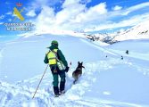 La Guardia Civil realiza un plan de instrucción de perros de búsqueda en Formigal-Panticosa