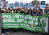 PACMA acusa a María Jesús Montero de alinearse con el PP al mantener la subida del IVA veterinario de Rajoy
