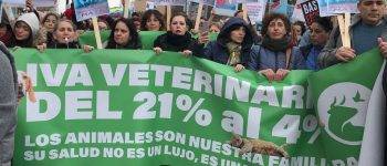 PACMA acusa a María Jesús Montero de alinearse con el PP al mantener la subida del IVA veterinario de Rajoy