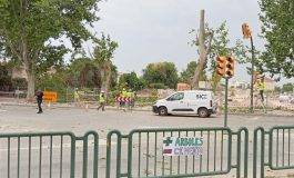 Cambiar Huesca–Izquierda Unida exige al Ayuntamiento que paralice la tala de árboles en Martínez de Velasco