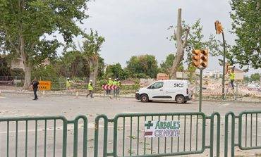 Cambiar Huesca–Izquierda Unida exige al Ayuntamiento que paralice la tala de árboles en Martínez de Velasco